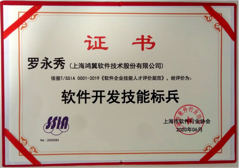 软件开发行业的时代风帆：上海作为创新引擎的角色